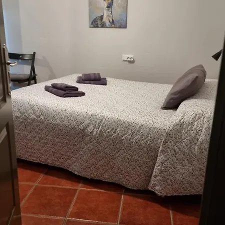 Pension San Marcos Guest house