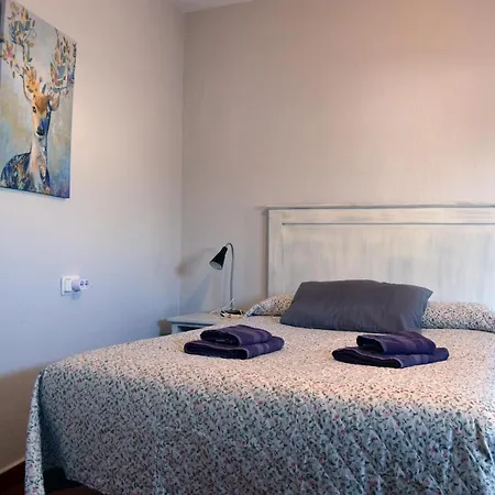 Guest house Pension San Marcos *