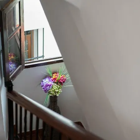 Guest house Pension San Marcos
