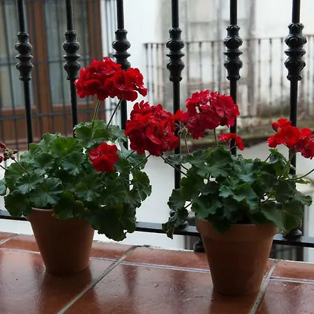 Pension San Marcos Guest house *